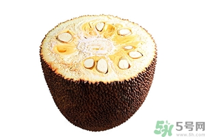 剥完的菠萝蜜怎么保存,菠萝蜜剥开之后怎么保存