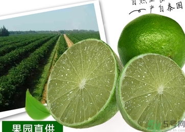 泰国柠檬的功效和作用,泰国青柠檬的功效