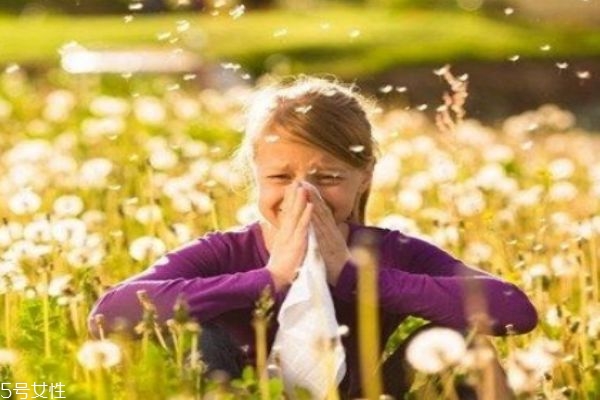 鼻炎应该吃什么药呢(鼻炎吃啥药)