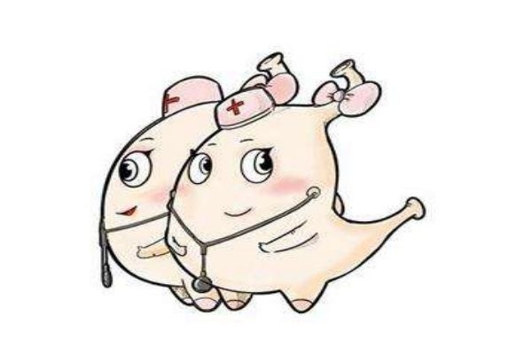 肠胃不好应该喝什么汤呢(肠胃不好能喝什么汤)