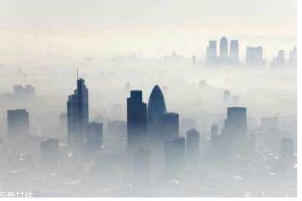 什么是雾霾呢(什么是雾霾呢)