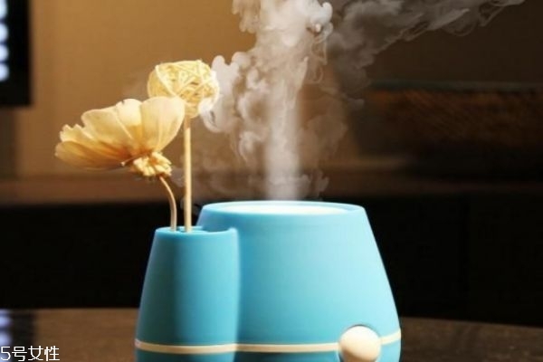 加湿器有什么危害吗(加湿器有什么危害吗?)