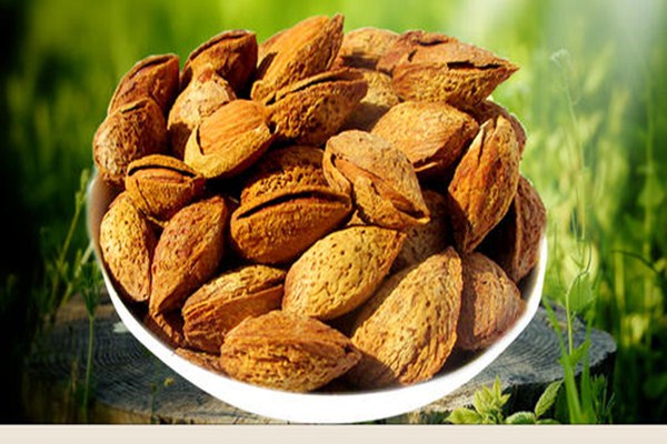 孕妇可以多吃巴坦木吗(孕妇可以吃巴坦木的吗)