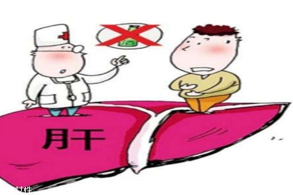 如何预防乙肝(如何预防乙肝病毒感染)