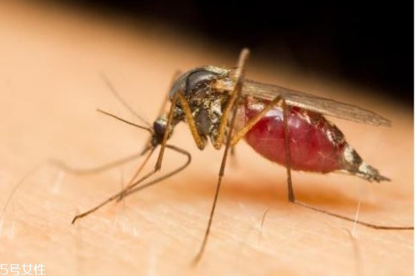 物理驱蚊方法(物理驱蚊方法有哪些)