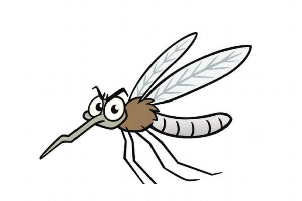 怎样预防小孩被蚊子叮咬(怎样预防小孩被蚊子叮咬)