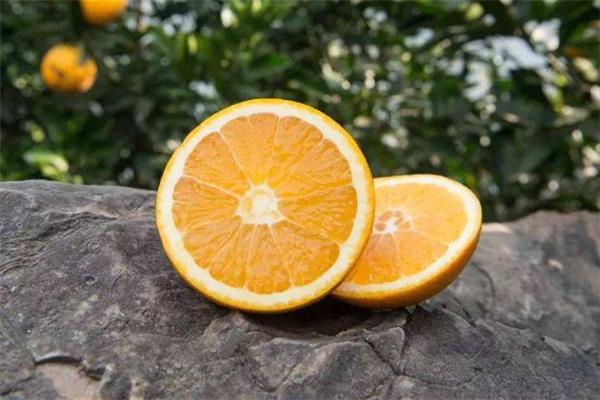 脐橙吃多了会怎样(脐橙有什么好处)
