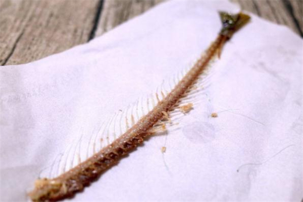 鱼骨头怎么二次利用(怎么把鱼骨头弄出来)