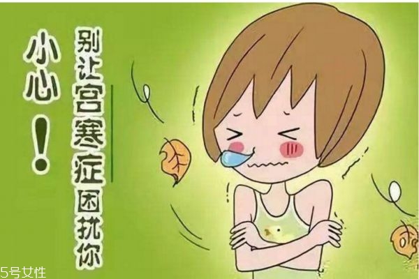 宫寒吃什么蔬菜(宫寒吃什么蔬菜比较好)