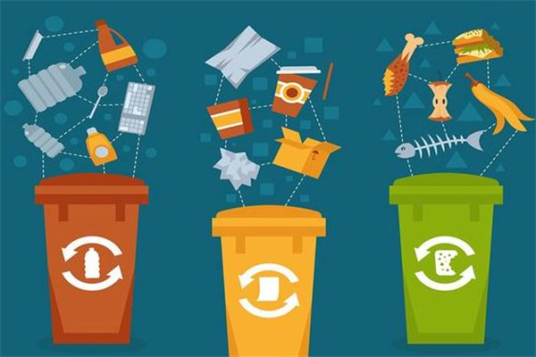 上海垃圾怎么分类(上海垃圾怎么分类)