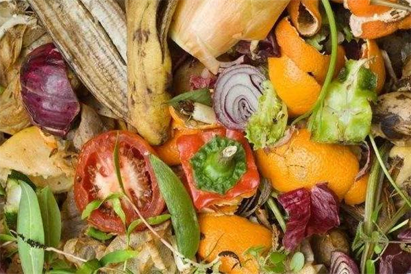 湿垃圾是什么意思(湿垃圾是什么意思) 湿垃圾是什么意思(湿垃圾是什么意思)