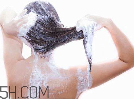 用醋洗头是用白醋还是陈醋,用醋洗头发是用陈醋还是白醋