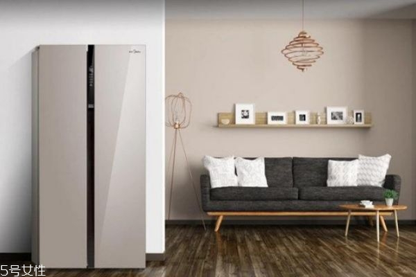 冰箱保养注意事项(冰箱不用怎么保养)