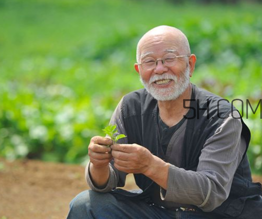 得了肺结节还能抽烟吗,抽烟对肺结节有影响吗
