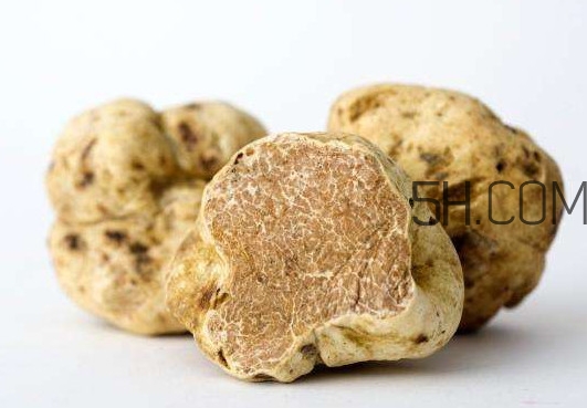 松露不能跟什么一起吃,松露不能和什么同食