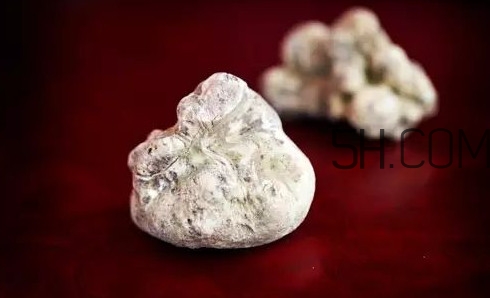 白松露多少钱一斤,白松露一克多少钱 白松露多少钱一斤,白松露一克多少钱