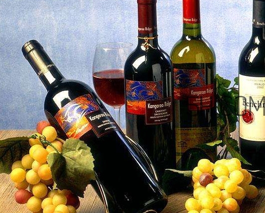 小孩能不能喝葡萄酒?,儿童可以喝自己做的葡萄酒吗