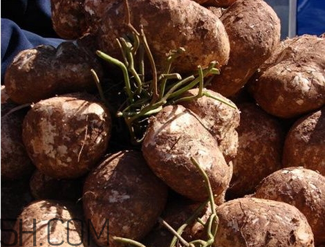 土瓜不能和什么一起吃 土瓜的功效和作用,土瓜不能和什么一起吃/同吃 食物相克大全