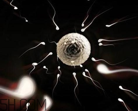 少精症能自然受孕吗,少弱精症能自然怀孕吗