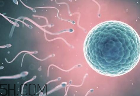 男性少精症是怎么引起的,少精症是什么原因造成的