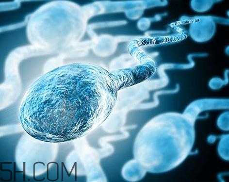 先天性无精症怎么治,先天无精怎么治疗 先天性无精症怎么治,先天无精怎么治疗