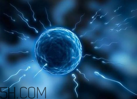 无精症是先天还是后天,无精症是天生的吗 无精症是先天还是后天,无精症是天生的吗