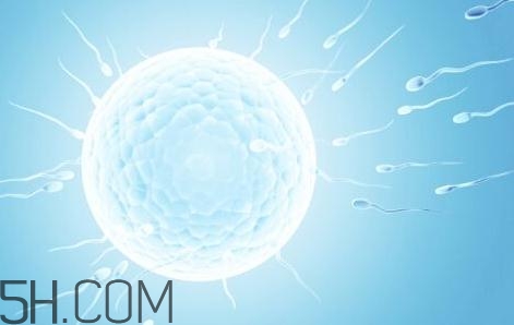 男人为什么会得无精症,男人无精是什么引起的 男人为什么会得无精症,男人无精是什么引起的