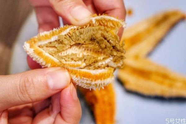 海星一般生长在哪里呢(海星生长在什么地方)