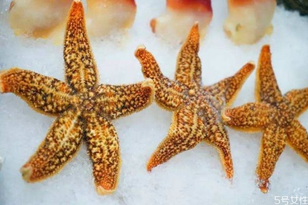 吃海星有什么好处呢(吃海星的好处)