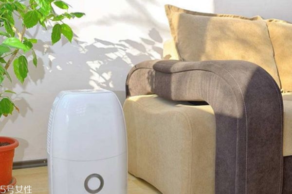 如何选择除湿机(除湿机怎么选)