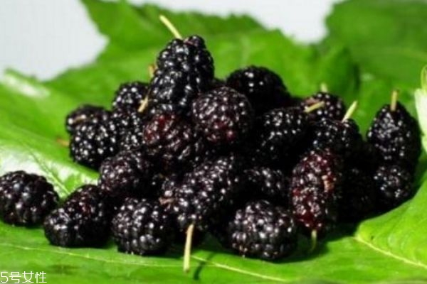 桑葚能染头发吗(桑葚能染头发吗怎么染)