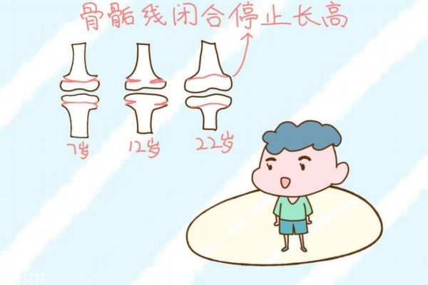 吃什么能长高(吃什么能长高 小学生)