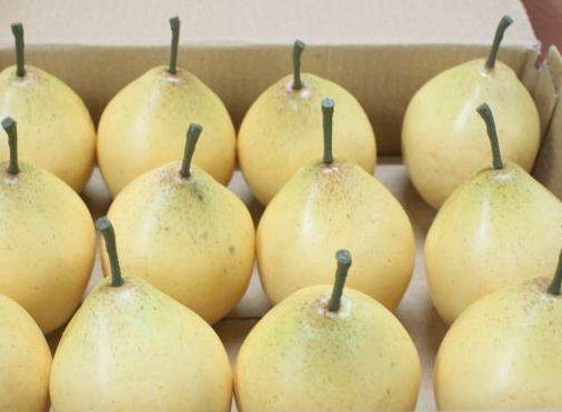 雅萌脱毛仪的易用性(雅萌脱毛仪效果怎么样)