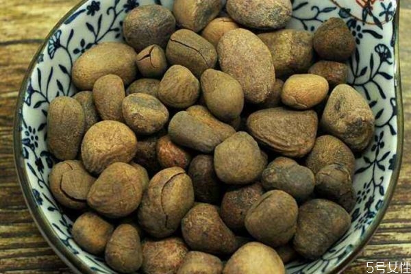 大风子生长在什么环境里呢(风信子生长在什么环境)