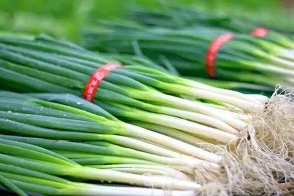 大葱怎么做好吃(大葱怎么做好吃又简单) 大葱怎么做好吃(大葱怎么做好吃又简单)