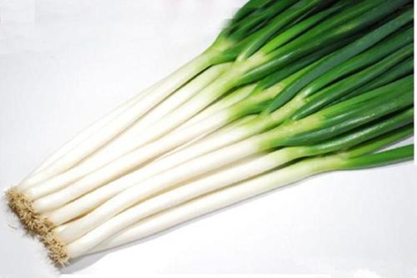 大葱和小葱有什么区别(大葱和小葱有什么区别及功效的区别) 大葱和小葱有什么区别(大葱和小葱有什么区别及功效的区别)