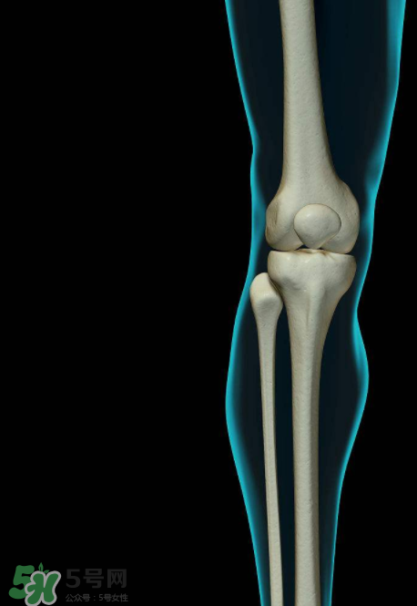 风湿病可以吃螃蟹吗,类风湿能不能吃螃蟹