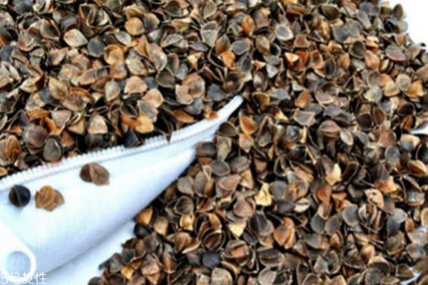 荞麦枕儿童可以用吗(荞麦枕儿童可以用吗)