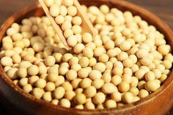 三、闻气味(三闻气味)