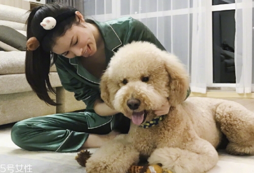 manito是哪国的,manito是哪个国家的