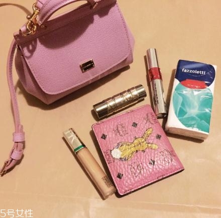 杜嘉班纳的包,杜嘉班纳包包图片