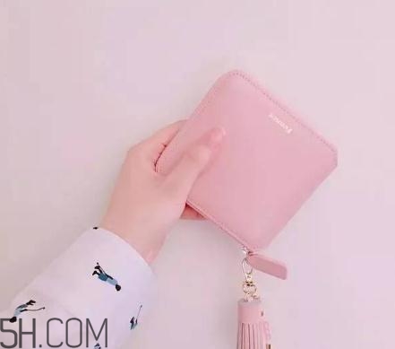 fion钱包,fennec官网的包怎么买