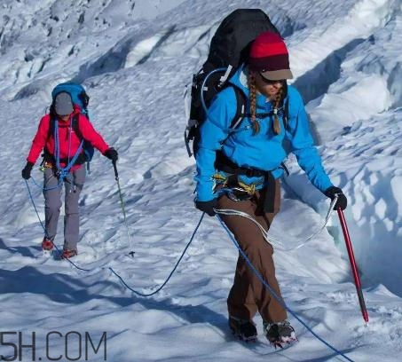 始祖鸟是哪个国家的品牌贵吗,始祖鸟哪个国家品牌