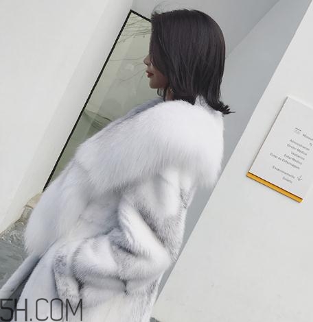 整貂和拼貂的差别,整貂和拼貂的区别图片