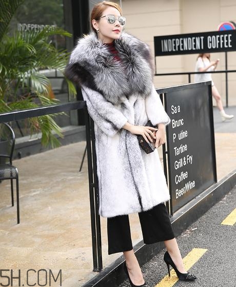 丹麦貂和美国貂的区别,美国水貂和丹麦貂的区别 丹麦貂和美国貂的区别,美国水貂和丹麦貂的区别