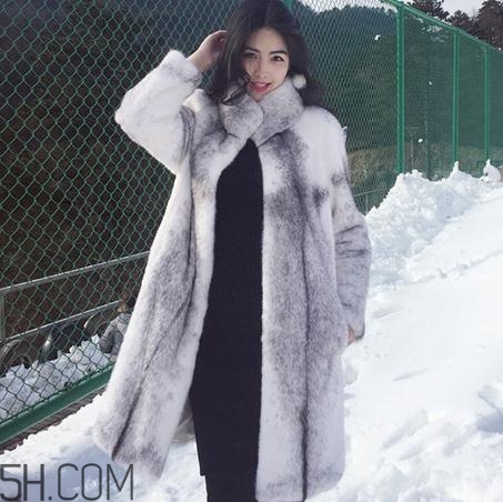 十字貂价格,进口十字貂价格