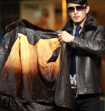 黄金貂和水貂哪个好,金貂好还是水貂好