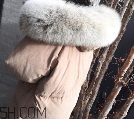 狐狸毛领可以用水洗吗,狐狸毛领子可以水洗吗