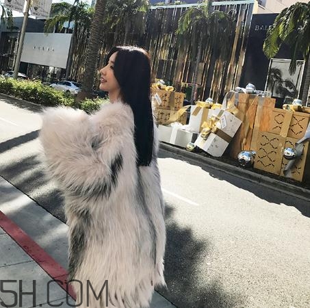 狐狸毛皮草怎么选,买狐狸毛的皮草要注意什么地方