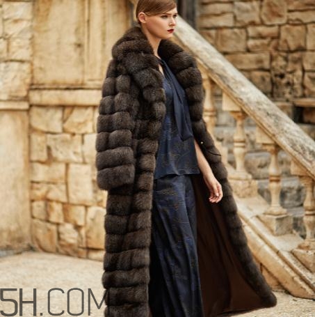 紫貂皮草哪个颜色好,紫貂皮草知识